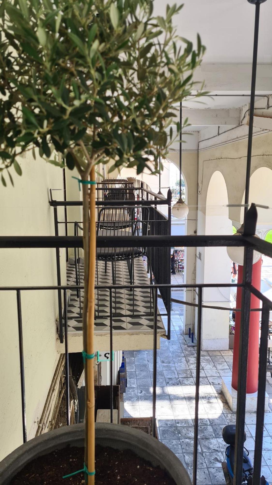 Μerάκι Aristotelous Sq Θεσσαλονίκη Εξωτερικό φωτογραφία
